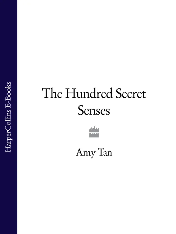 The Hundred Secret Senses AMY TAN For Faith To write this story I depended - фото 1