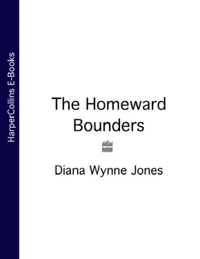 Diana Jones The Homeward Bounders обложка книги