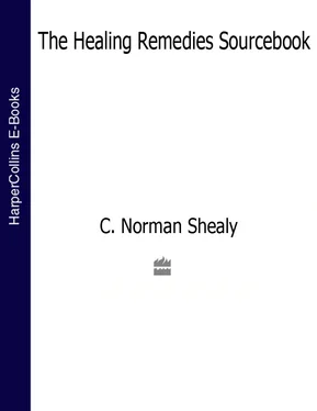 C. Shealy The Healing Remedies Sourcebook: Over 1,000 Natural Remedies to Prevent and Cure Common Ailments обложка книги