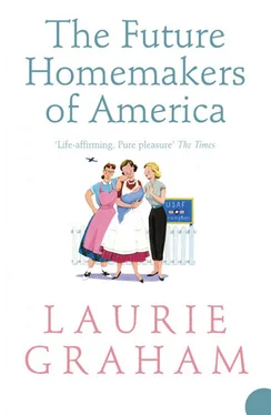 Laurie Graham The Future Homemakers of America обложка книги
