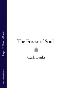 Carla Banks The Forest of Souls обложка книги