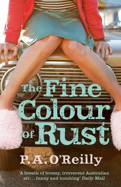 P. O’Reilly The Fine Colour of Rust обложка книги