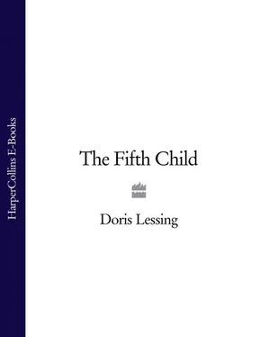 Doris Lessing The Fifth Child обложка книги