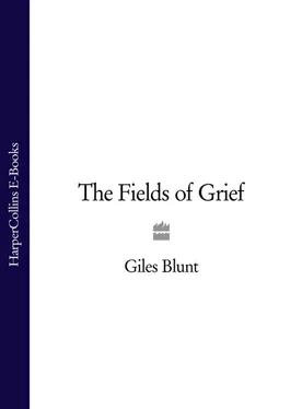 Giles Blunt The Fields of Grief обложка книги