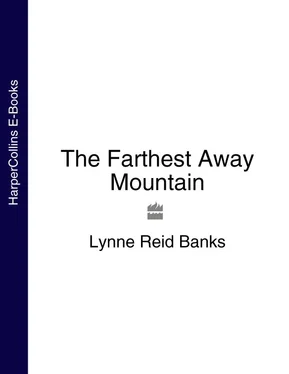 Lynne Banks The Farthest Away Mountain обложка книги