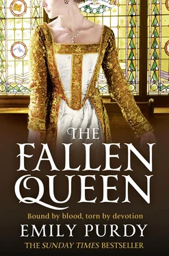 Emily Purdy The Fallen Queen обложка книги