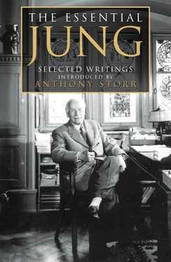 Anthony Storr The Essential Jung: Selected Writings обложка книги