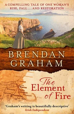 Brendan Graham The Element of Fire обложка книги