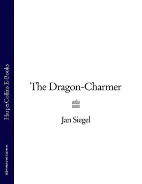 Jan Siegel The Dragon-Charmer обложка книги
