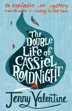 Jenny Valentine The Double Life of Cassiel Roadnight обложка книги