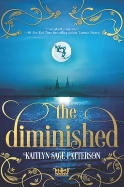 Kaitlyn Patterson The Diminished обложка книги