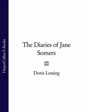 Doris Lessing The Diaries of Jane Somers обложка книги