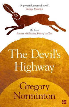 Gregory Norminton The Devil’s Highway обложка книги