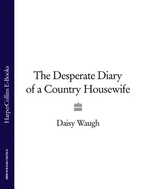 Daisy Waugh The Desperate Diary of a Country Housewife обложка книги