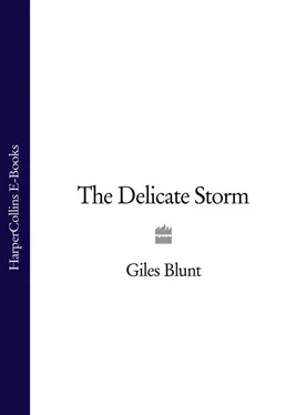 Giles Blunt The Delicate Storm обложка книги