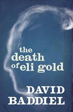 David Baddiel The Death of Eli Gold