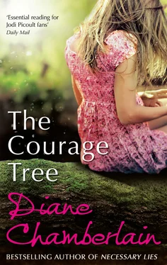 Diane Chamberlain The Courage Tree обложка книги