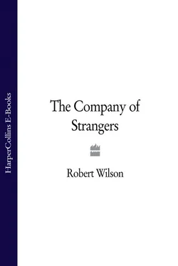 Robert Wilson The Company of Strangers обложка книги