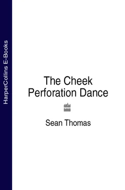 Sean Thomas The Cheek Perforation Dance обложка книги