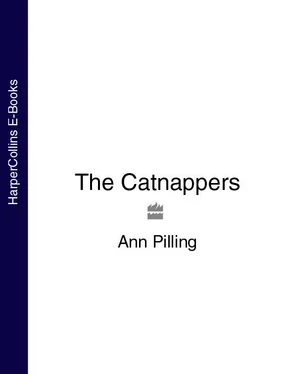 Ann Pilling The Catnappers обложка книги