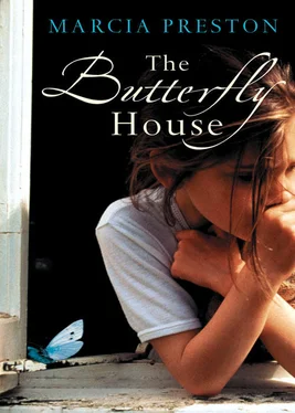 Marcia Preston The Butterfly House обложка книги