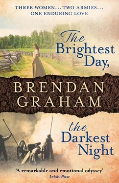 Brendan Graham The Brightest Day, The Darkest Night обложка книги