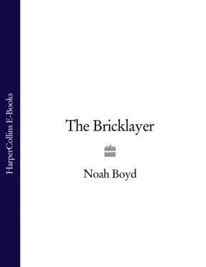 Noah Boyd The Bricklayer обложка книги