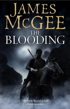 James McGee The Blooding обложка книги