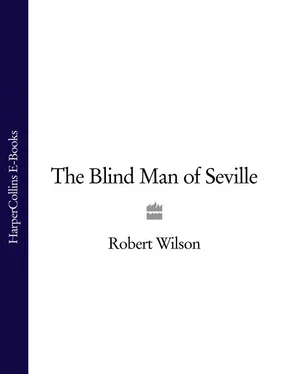 Robert Wilson The Blind Man of Seville обложка книги
