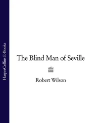 Robert Wilson - The Blind Man of Seville