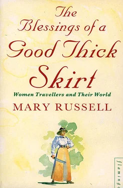 Mary Russell The Blessings of a Good Thick Skirt обложка книги