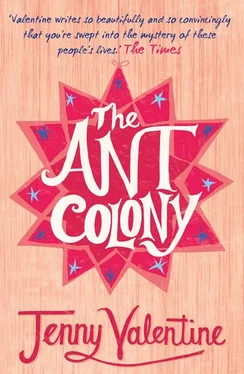Jenny Valentine The Ant Colony обложка книги