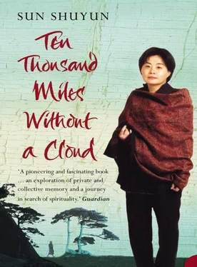 Sun Shuyun Ten Thousand Miles Without a Cloud обложка книги