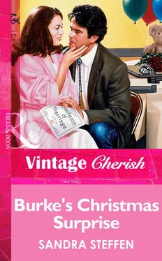 Sandra Steffen Burke's Christmas Surprise обложка книги