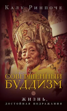 Калу Ринпоче Совершенный буддизм. Жизнь, достойная подражания обложка книги