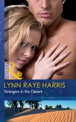 Lynn Harris - Strangers in the Desert