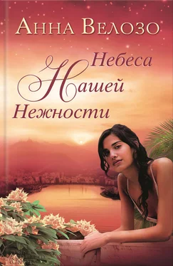 Анна Велозо Небеса нашей нежности обложка книги