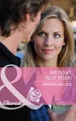 Barbara Wallace - Mr Right, Next Door!