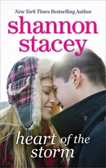 Shannon Stacey - Heart of the Storm