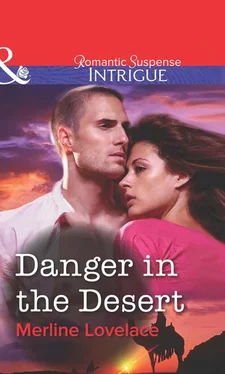 Merline Lovelace Danger in the Desert обложка книги