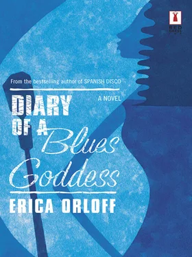 Erica Orloff Diary Of A Blues Goddess обложка книги