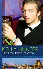 Kelly Hunter - The One That Got Away
