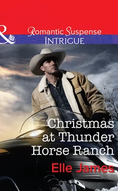 Elle James Christmas at Thunder Horse Ranch обложка книги