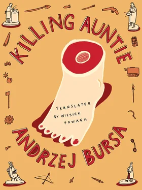 Andrzej Bursa Killing Auntie обложка книги