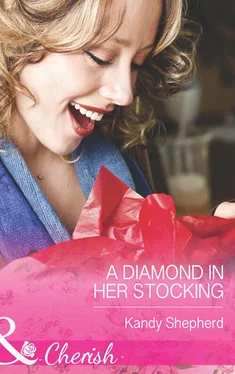 Kandy Shepherd A Diamond in Her Stocking обложка книги