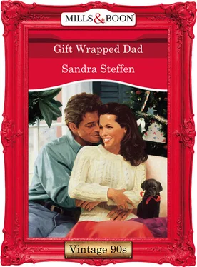 Sandra Steffen Gift Wrapped Dad обложка книги