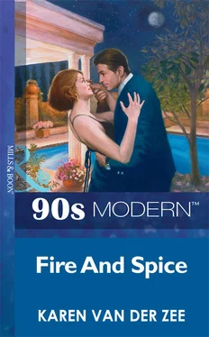 Karen Van Der Zee Fire And Spice обложка книги
