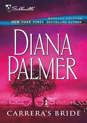 Diana Palmer - Carrera's Bride