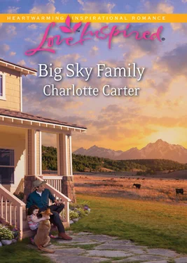 Charlotte Carter Big Sky Family обложка книги