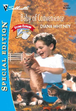 Diana Whitney Baby Of Convenience обложка книги